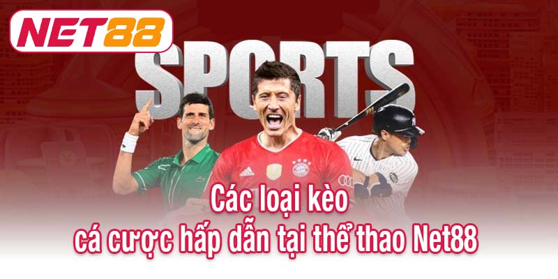 Các loại kèo cá cược hấp dẫn tại thể thao Net88 